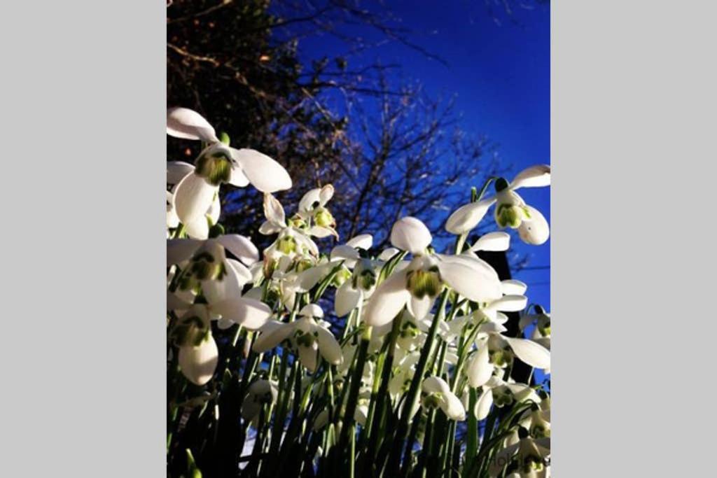 The Snug At Cornish Barn Holidays Truro Bagian luar foto