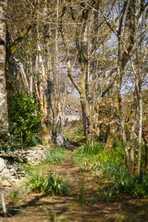 The Snug At Cornish Barn Holidays Truro Bagian luar foto